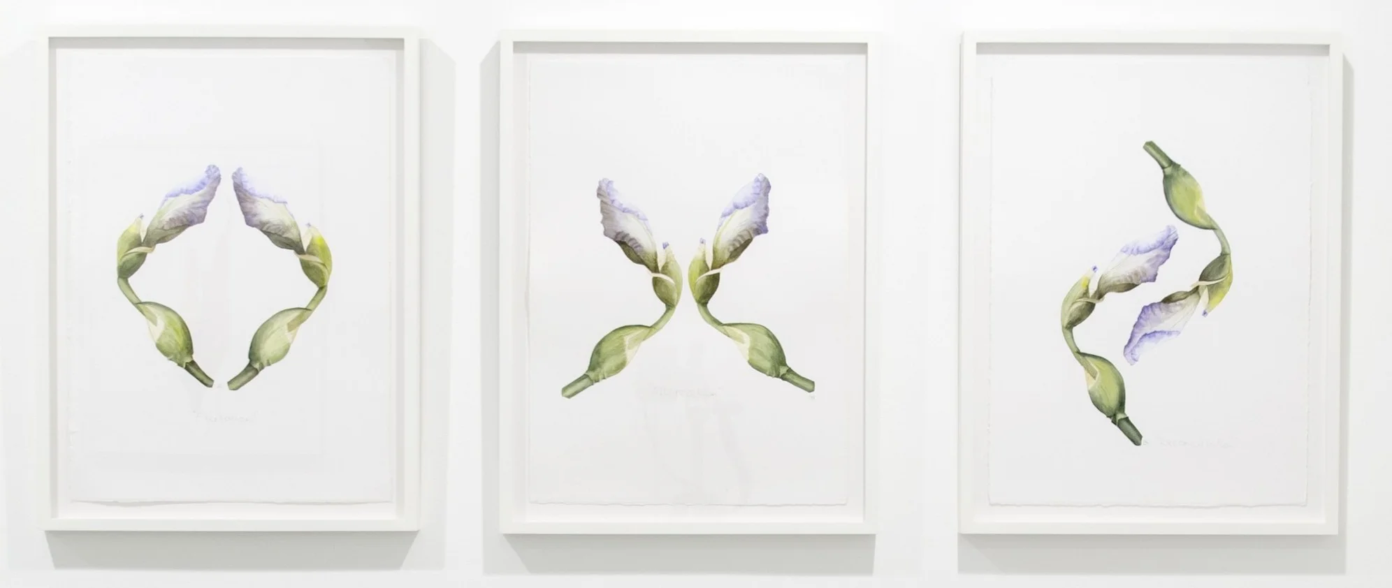 Triptych - Flirtation, Altercation and Reconciliation, 2013