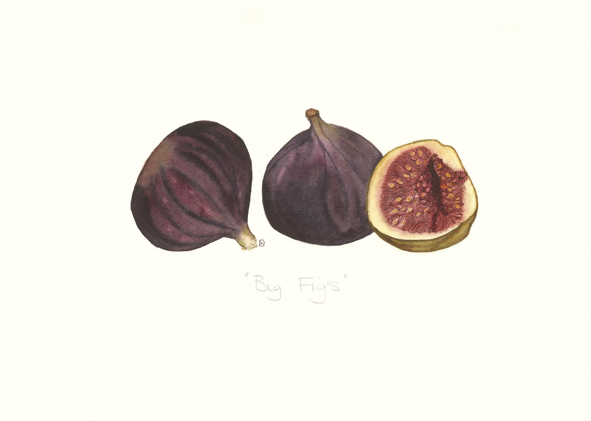 Big Figs, 2012