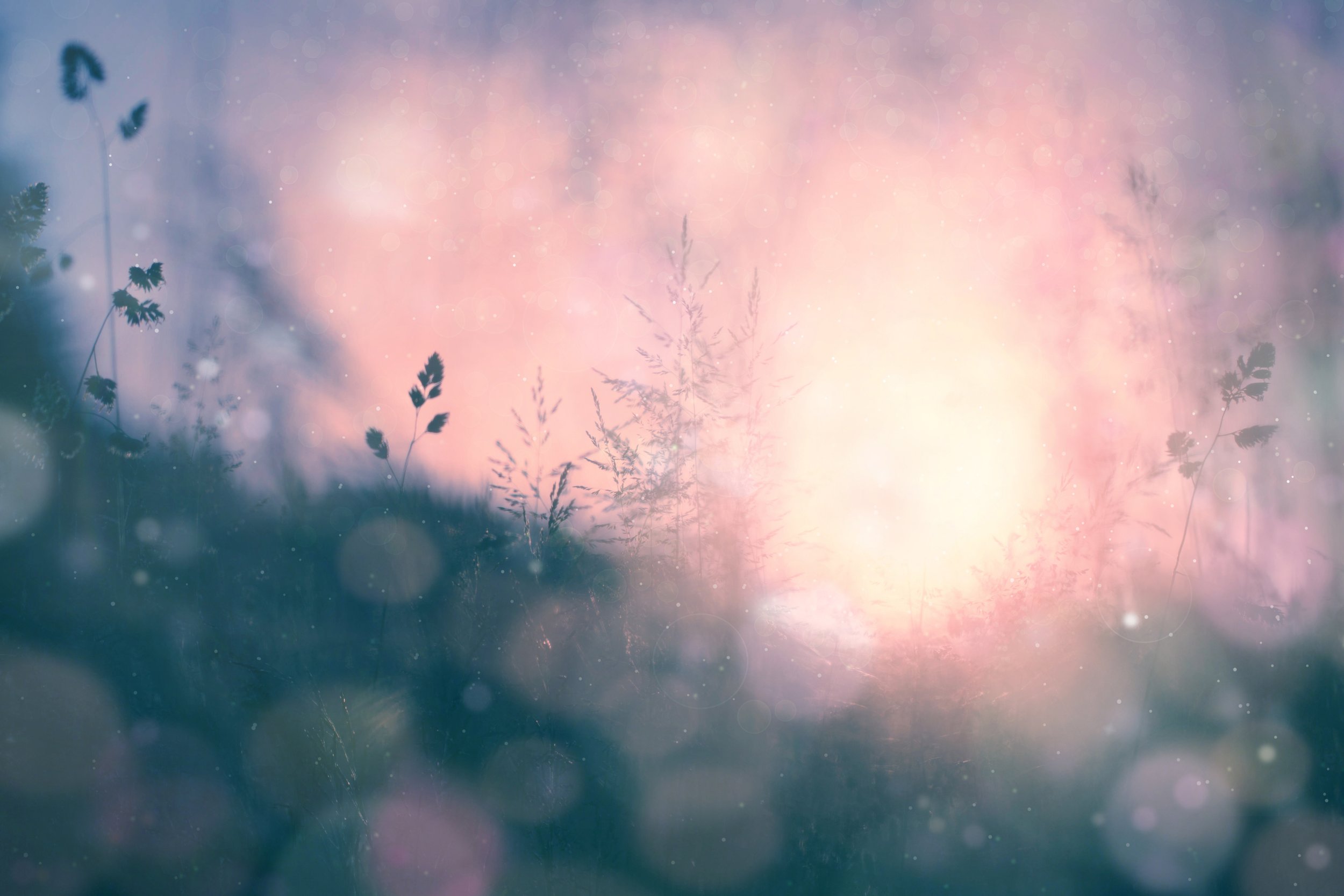 Journey through the elements with Mandi