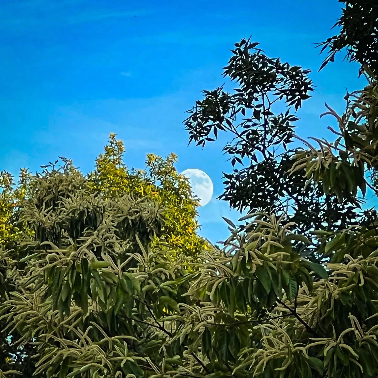 Patreon Meetup: Full Moon Hike