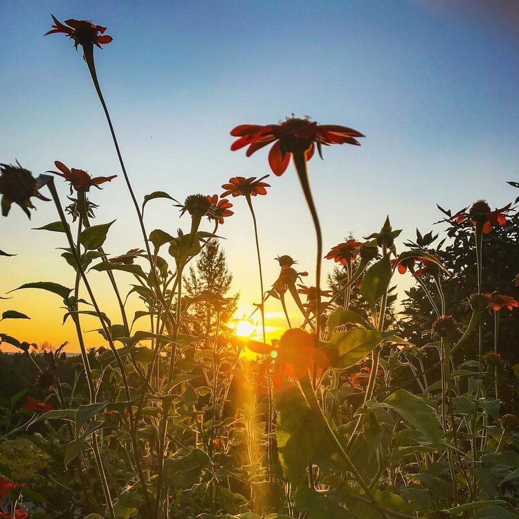 Fall Equinox Mini-Retreat (SOLD OUT)