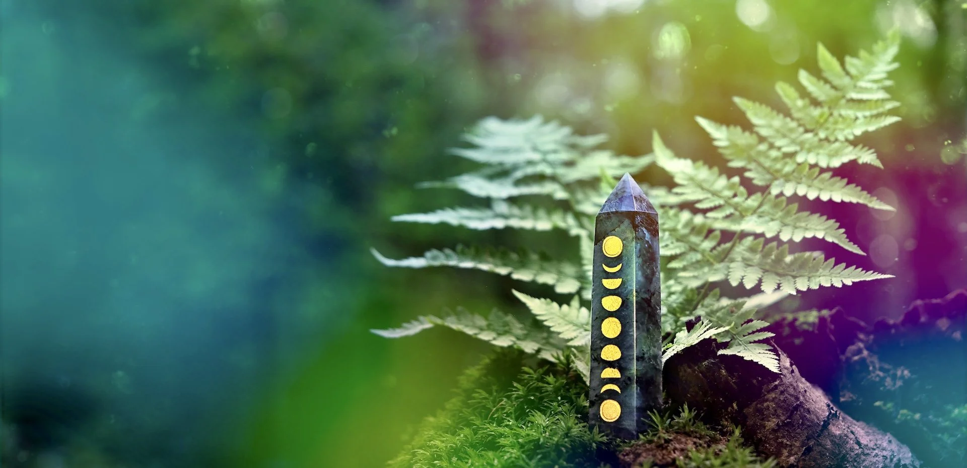 Season of Divine Alignment: Yin Yoga for the Root Chakra