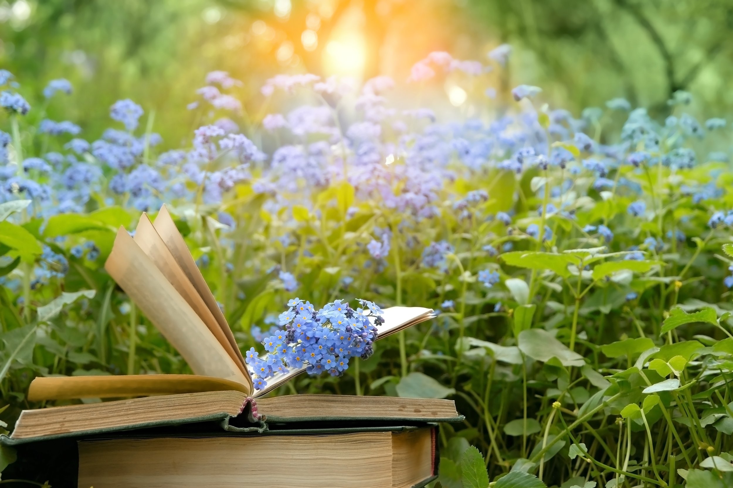 Healing of the Blue Ray: A Cosmic Priestess Study Group