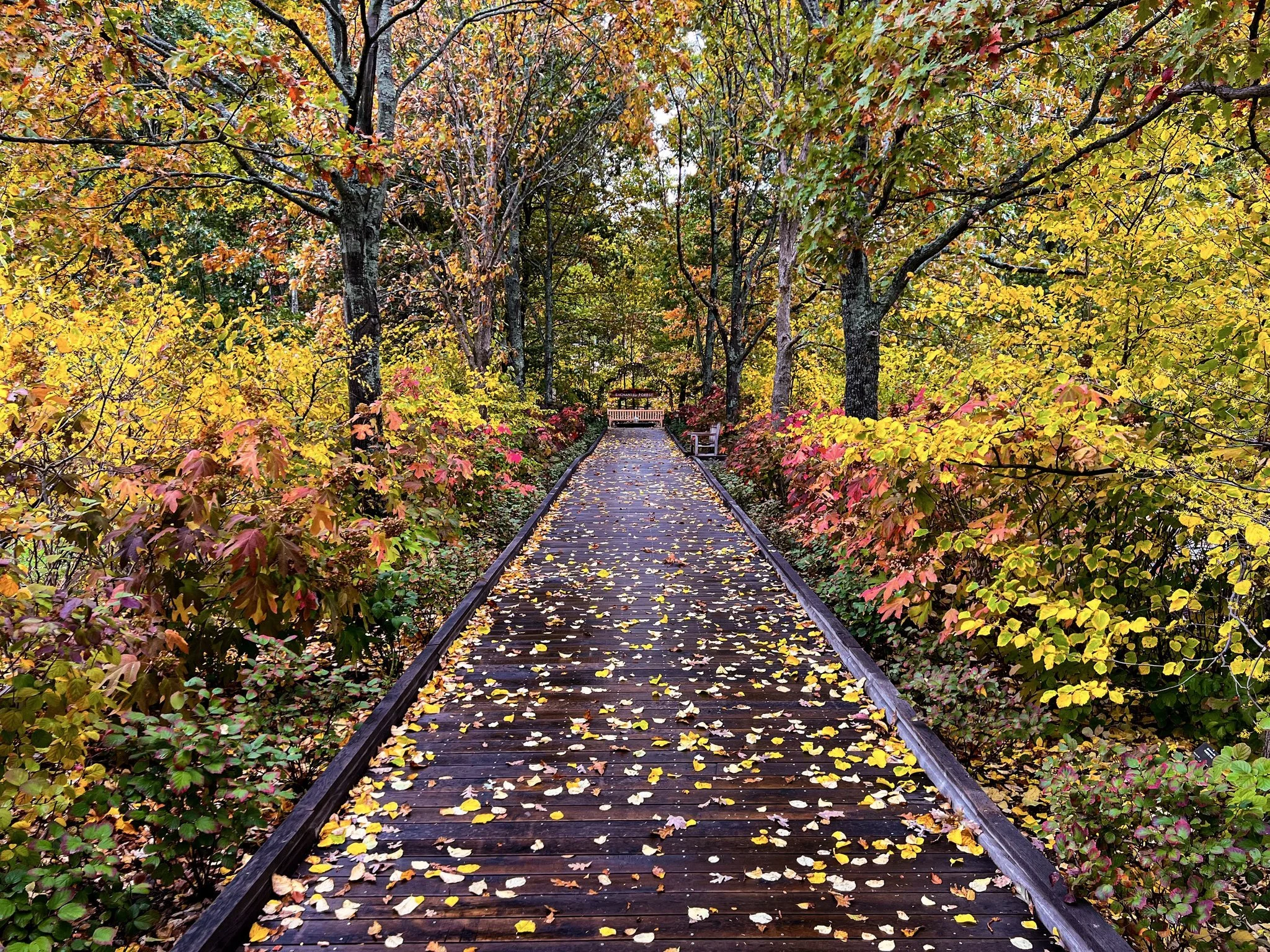 Fall Equinox Mini-Retreat