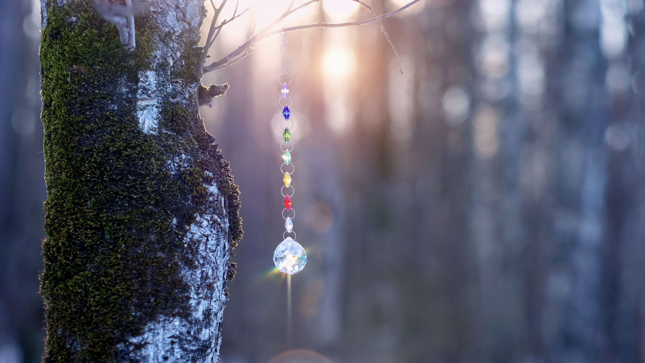 AdobeStock_496780526 2.jpg