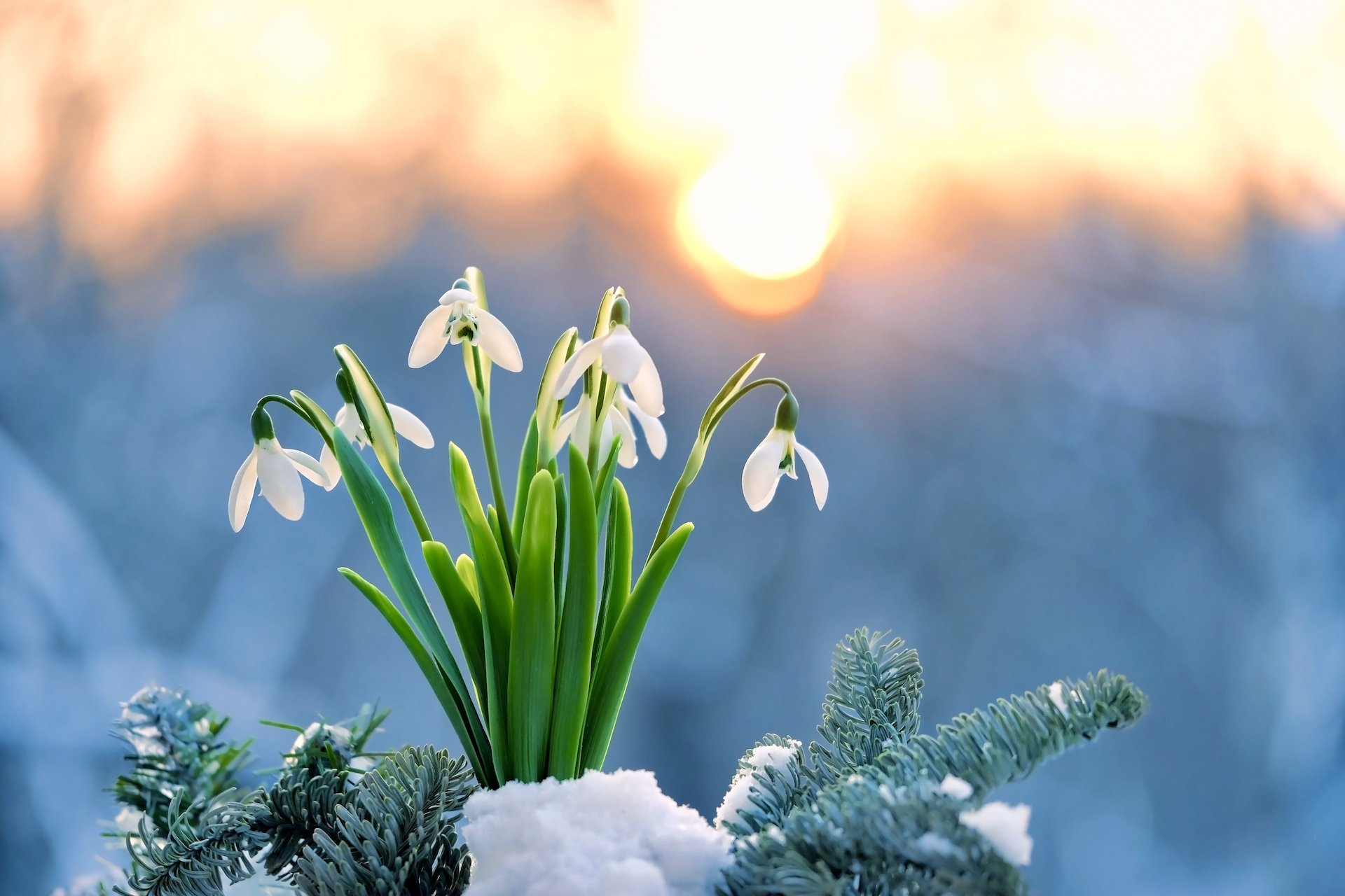 Weekly Theme: Rooting the Vision