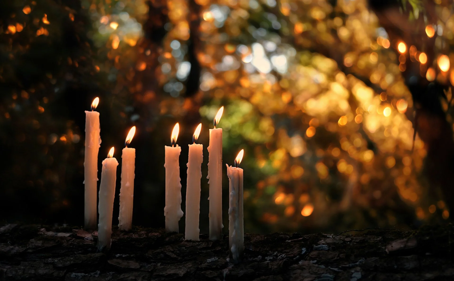 Weekly Theme: Restoring Inner Harmony