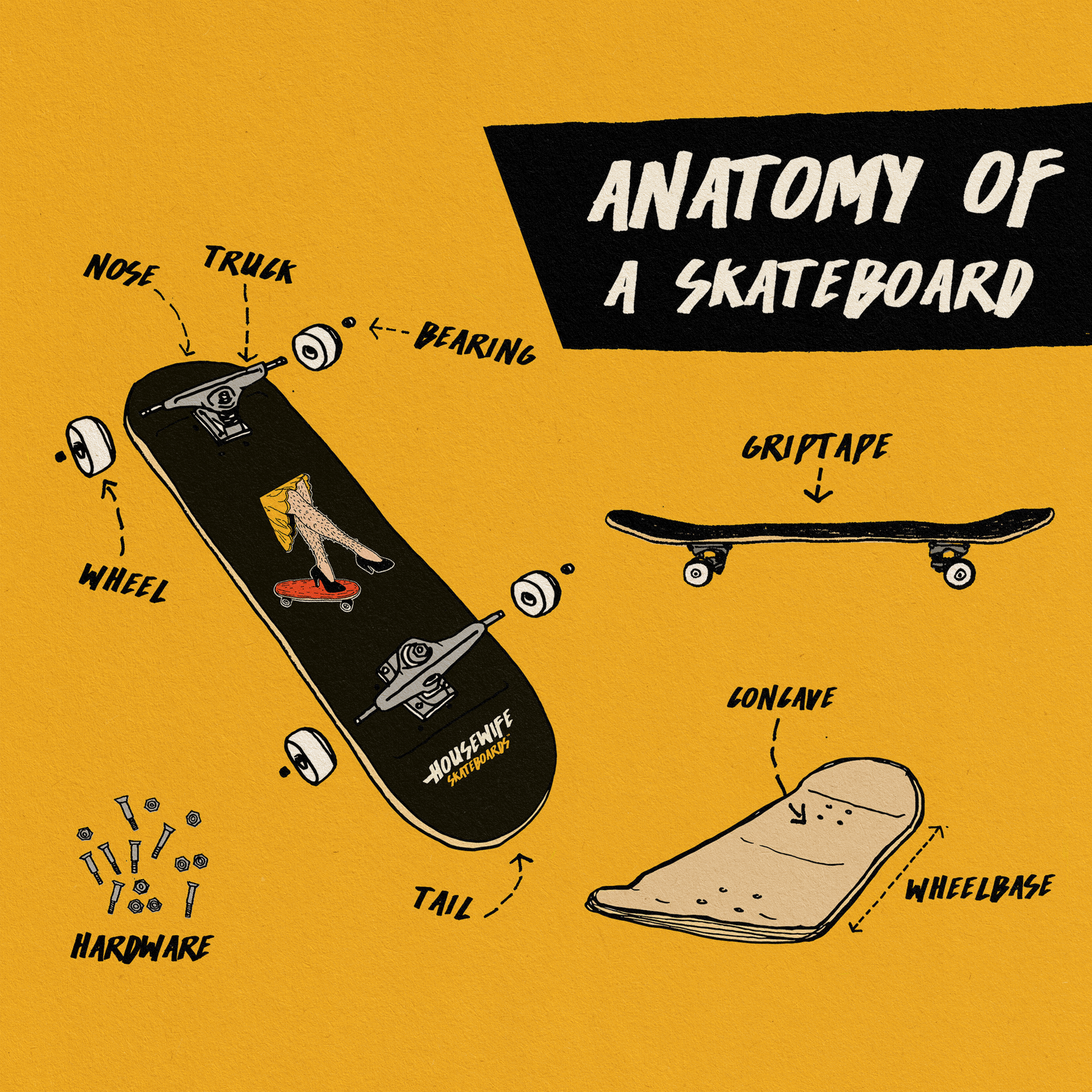 Anatomy_Of_A_Skateboard_Housewife.jpg
