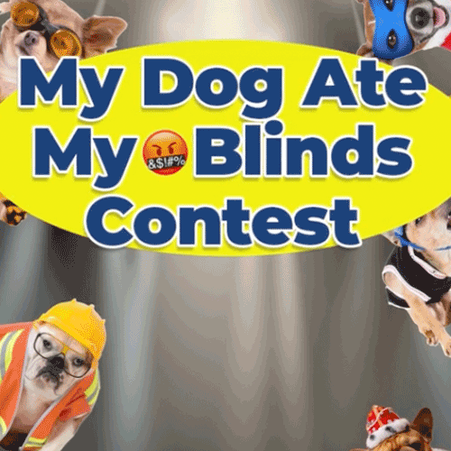 dog-ate-blinds.png