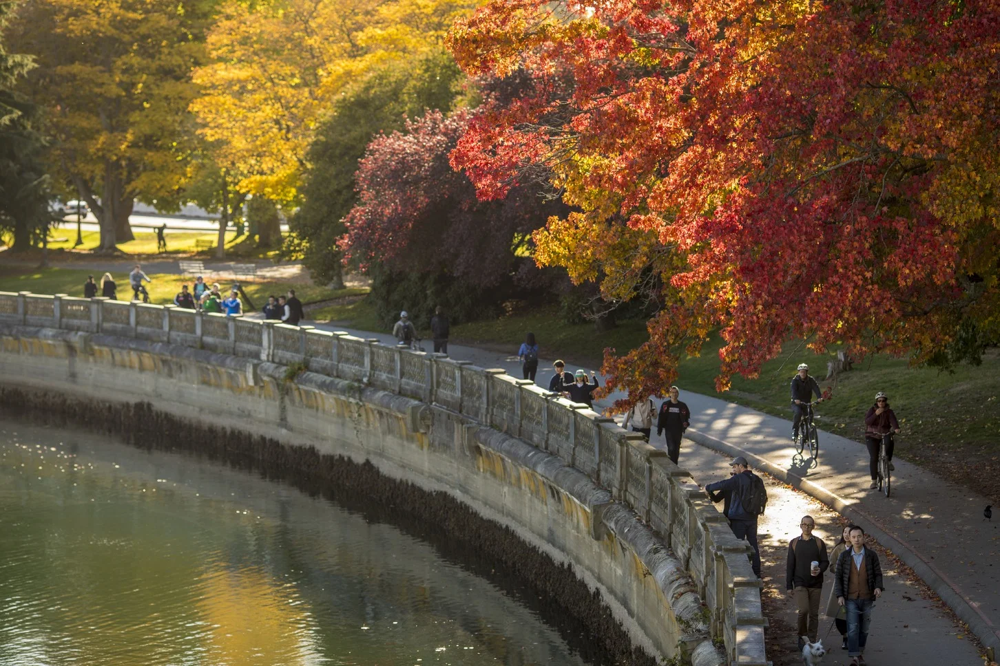Being a major part of Vancouver’s makeup, Stanley Park offers everything from beaches and totem poles, to hiking, biking, rollerblading, great food, an abundance of wildlife and so much more. Source: Tourism Vancouver