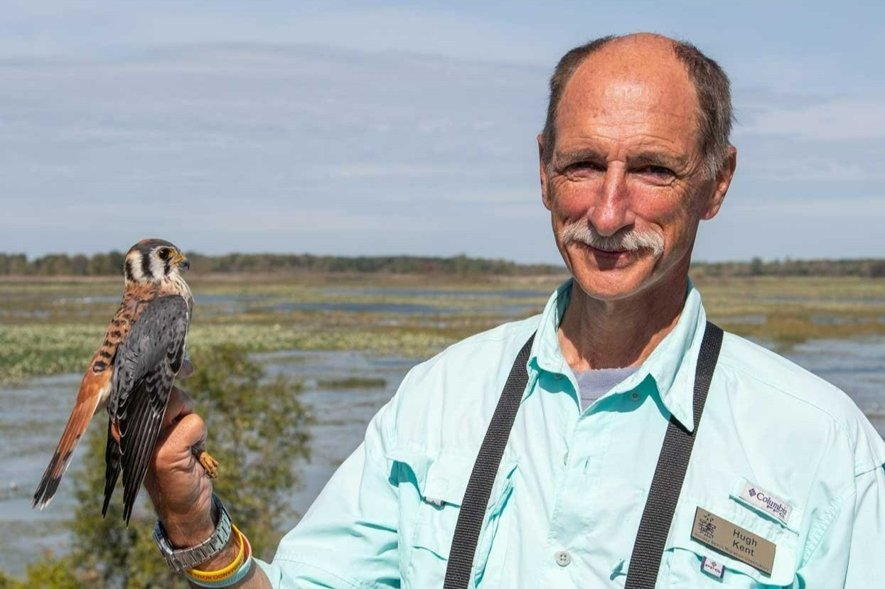 HBMO President, Hugh Kent with an American Kestrel