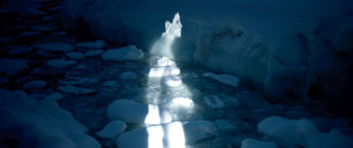  As part of David Buckland's  Cape Farewell Project , across fractured, melting ice, the shape of a pregnant woman is projected. The image highlights the interconnectivity between our lives and the world we live in. The woman also seems like a light 