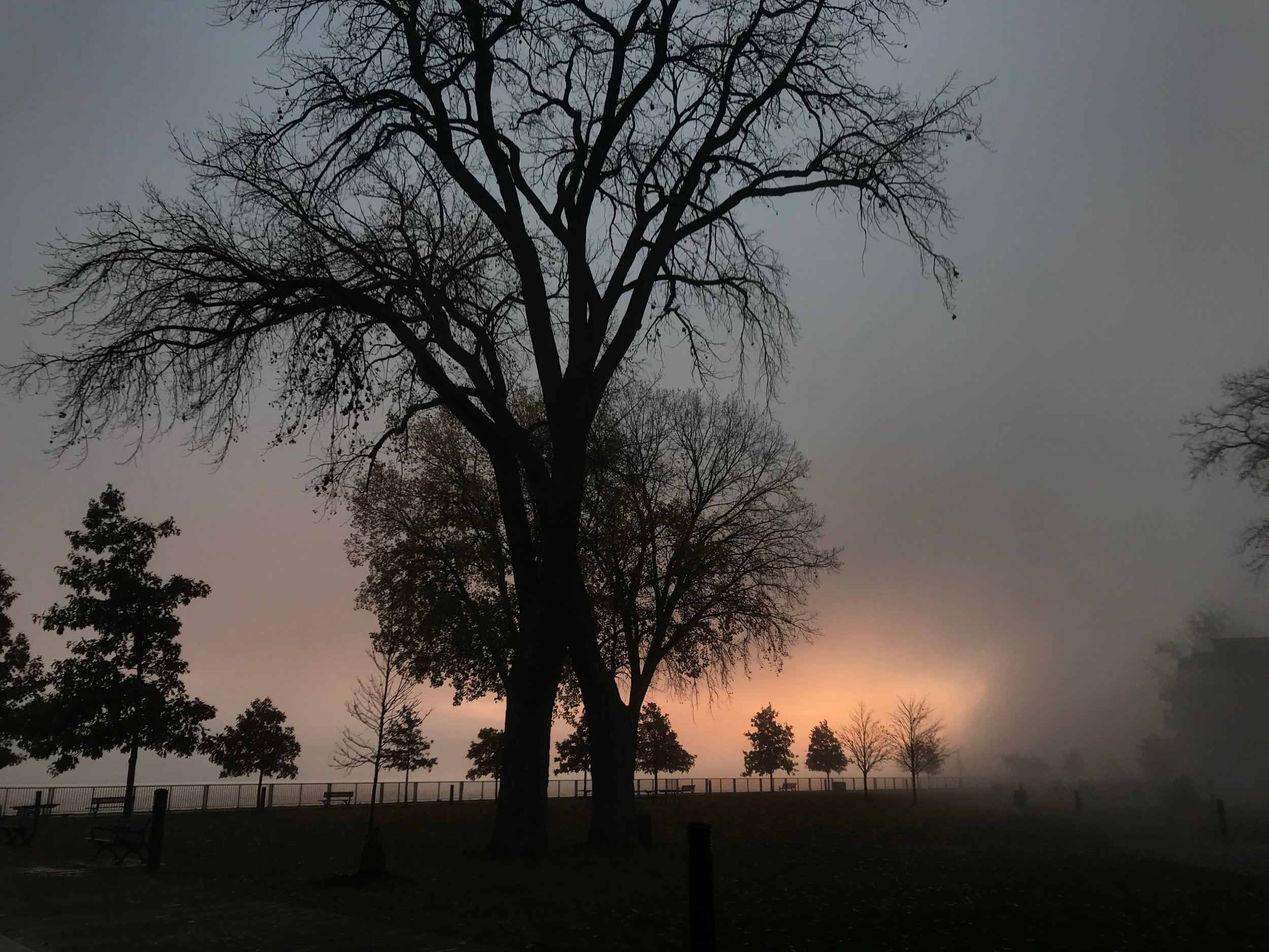 Sunrise in fog