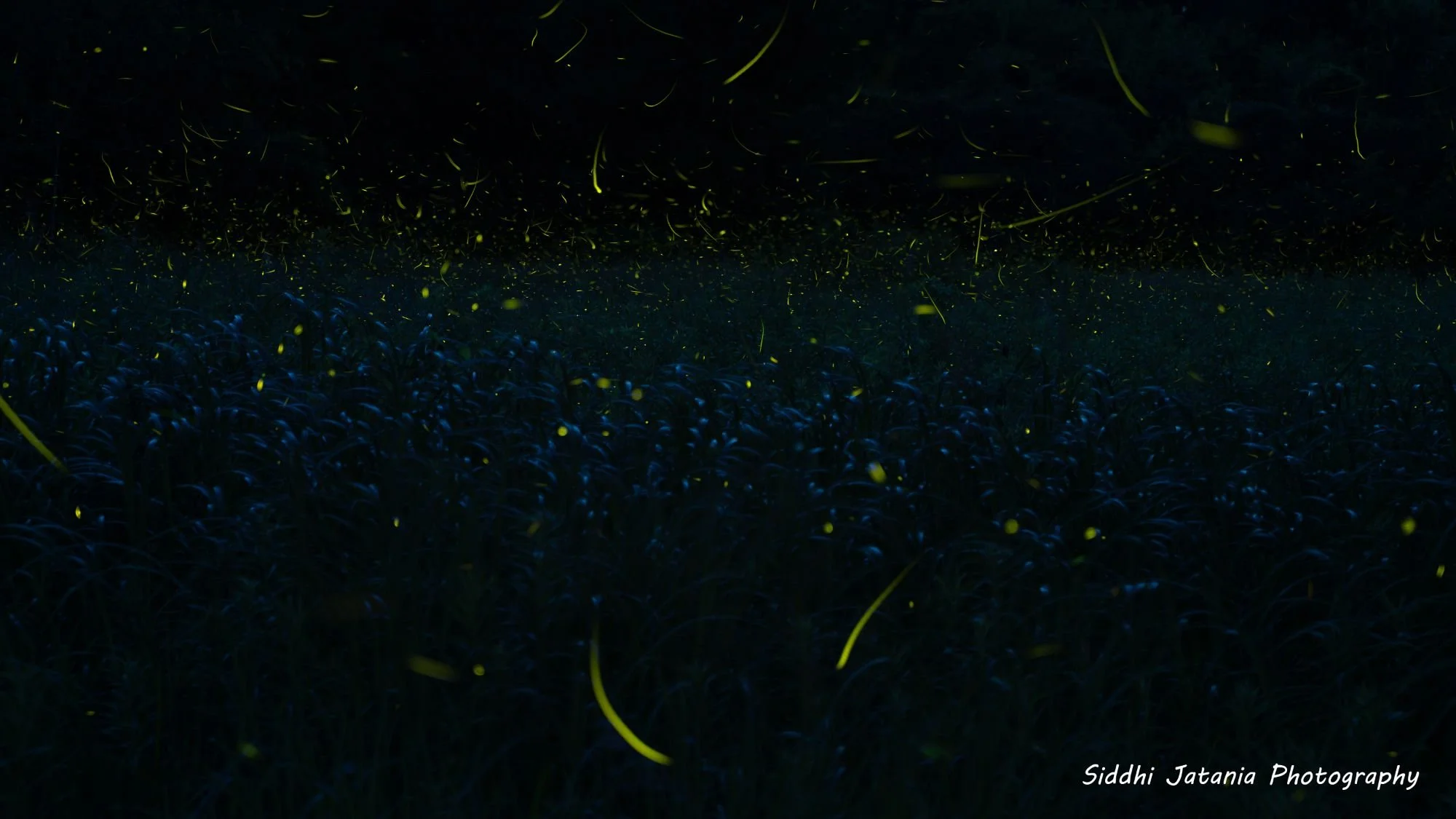 Earthly Constellation