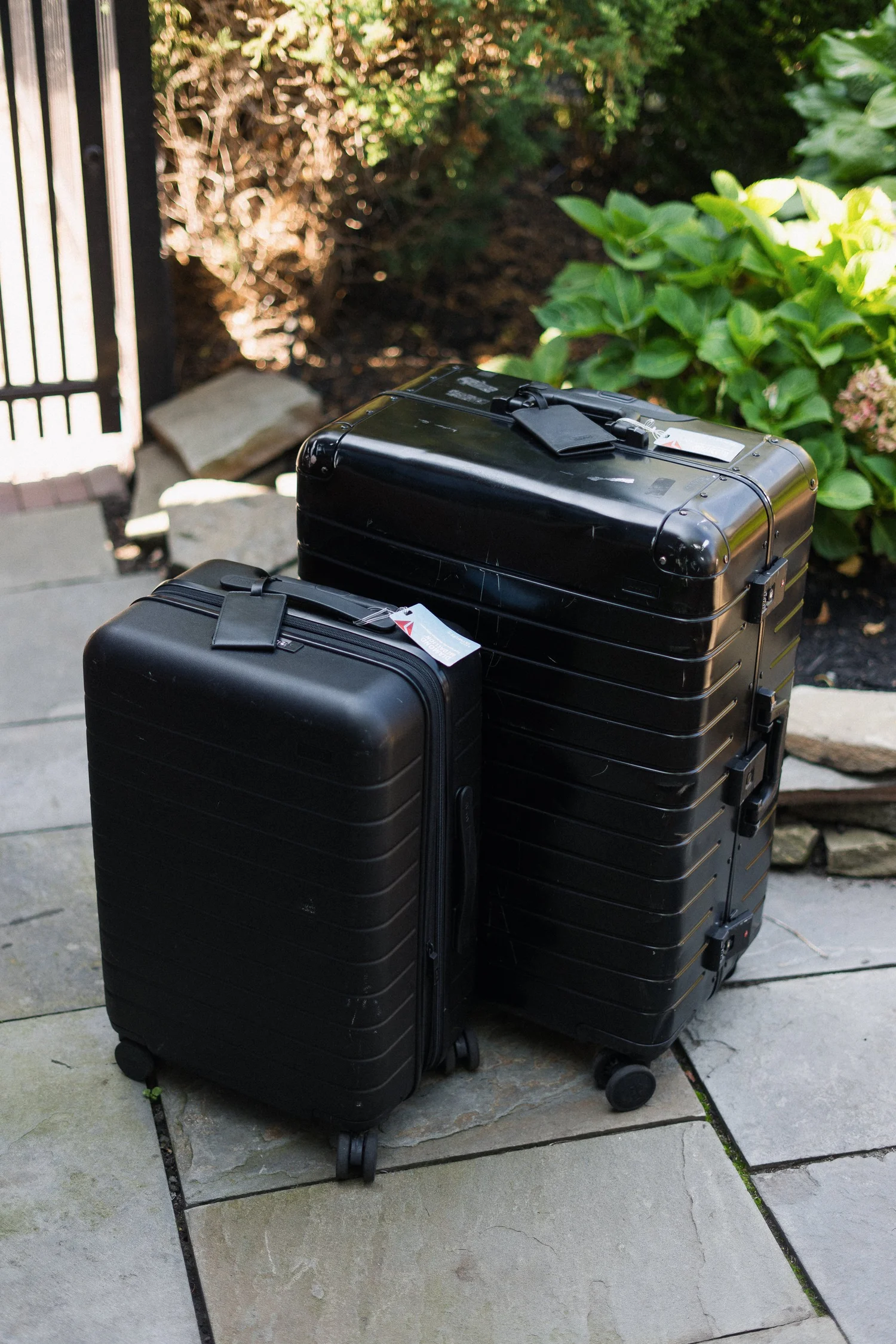 Luggage And Bags For Travel — Caralyn Mirand Koch