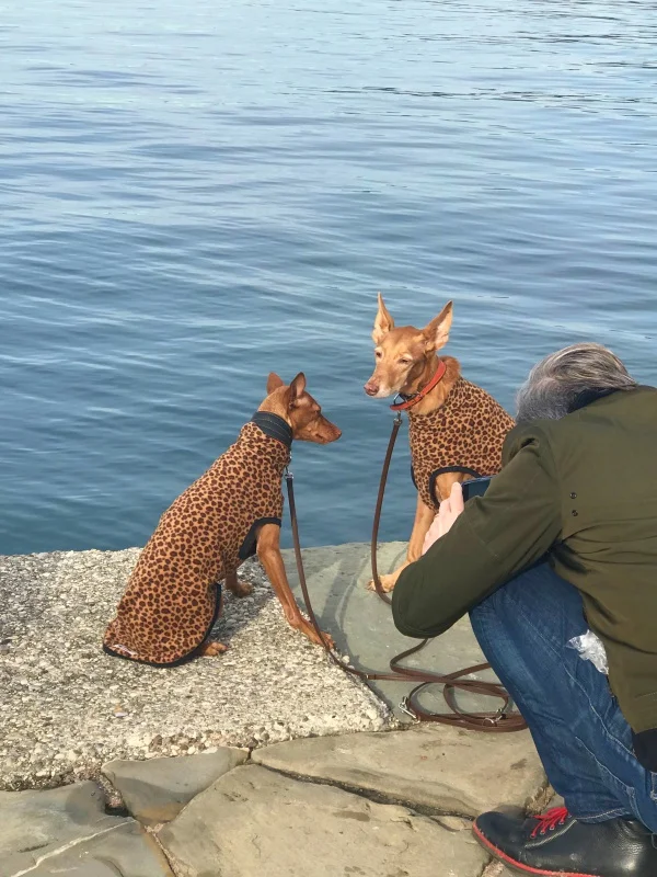 I'm not lying when I told you Italians took fashion seriously. Even the dogs dress better than many people do in the U.S.