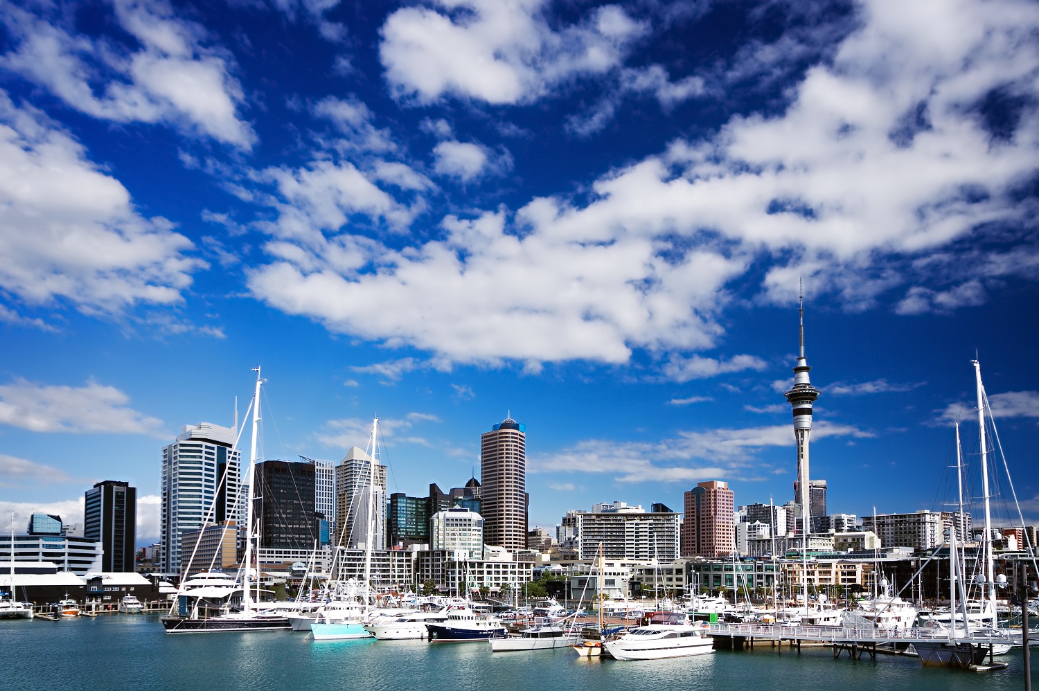 Auckland Skyline NZSID.jpg