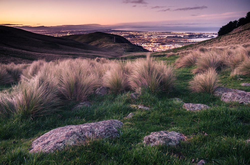 Christchurch Sunset Web.jpg
