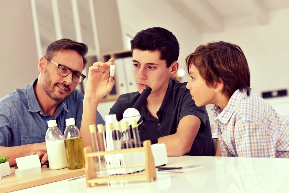 Secondary School New Zealand