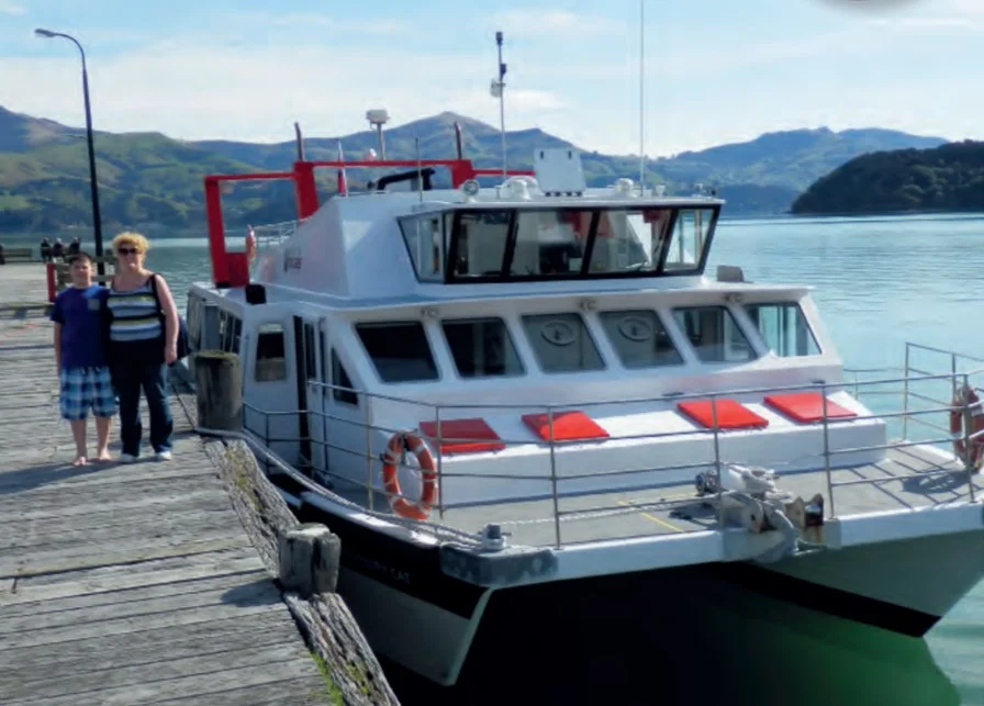 Case Study: The Stone Family