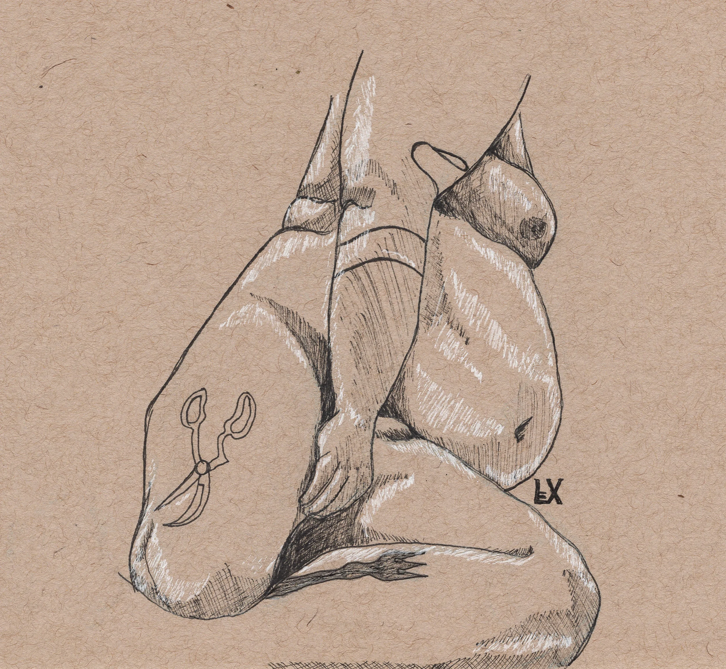 Body Study