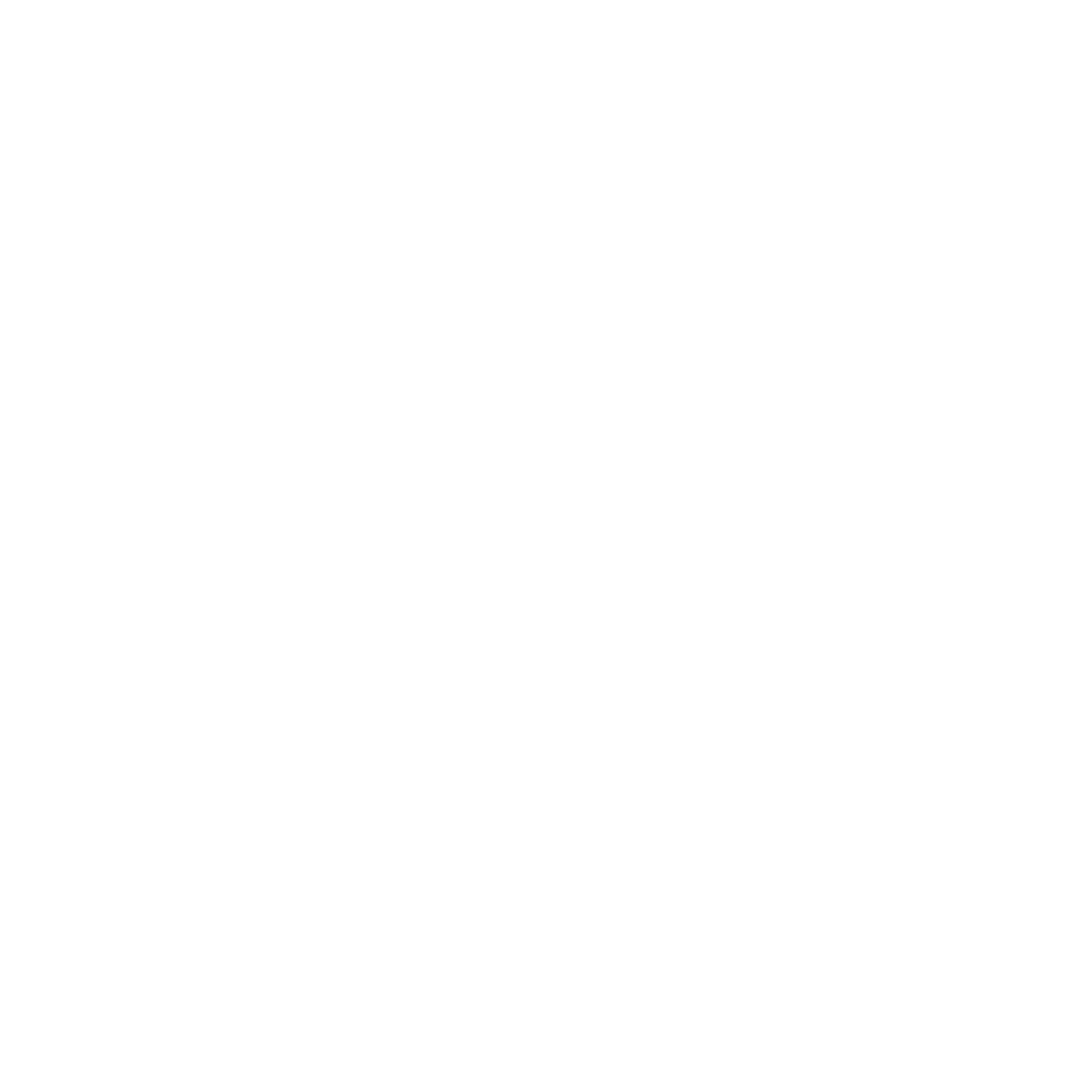 Per Ipsum COACHING