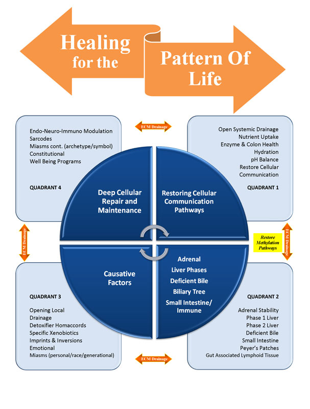 Healing for the Pattern of Life™ Template by Dr. Robert Cass