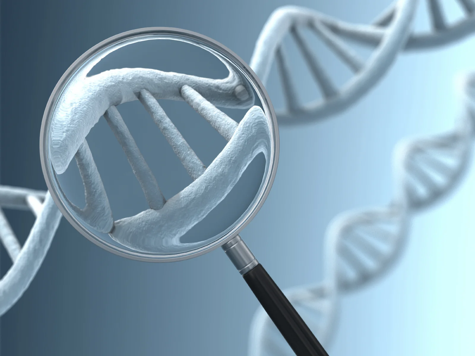 Our Genetic Profile Tests assess Aging Factors, Weight Loss Factors, Nutrient Factors and Athletic Performance Factors.