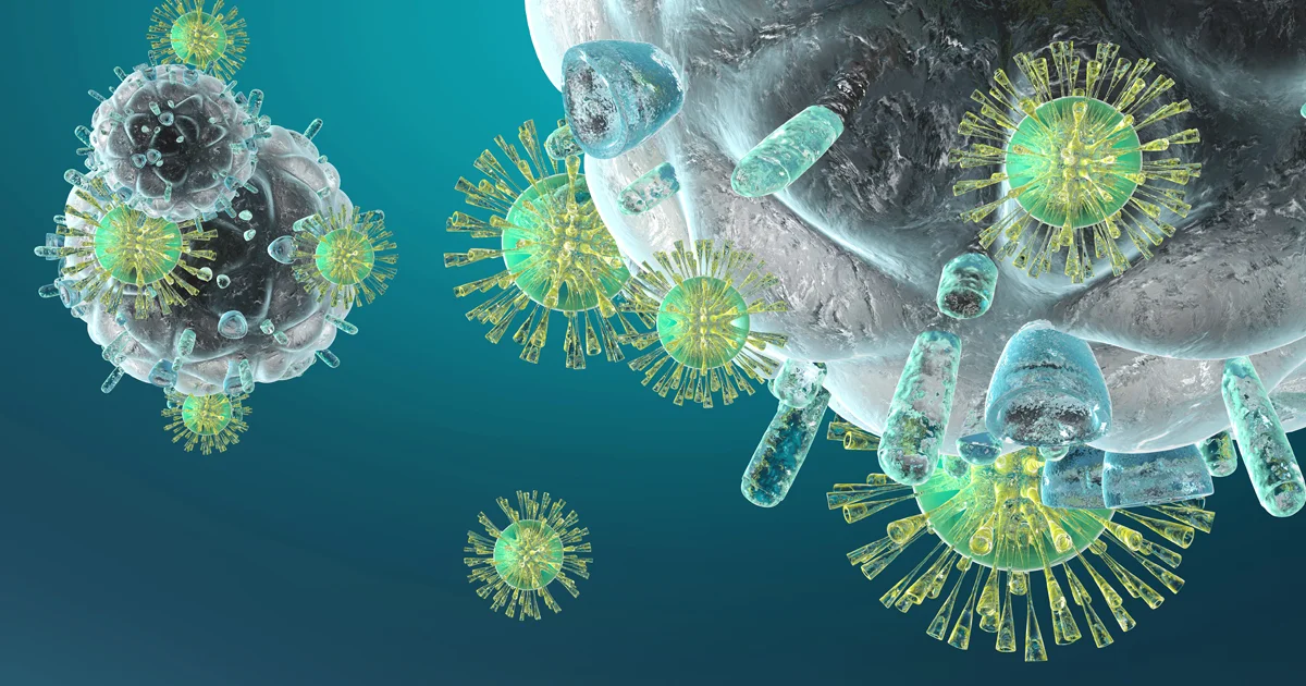 Immune System image.jpg