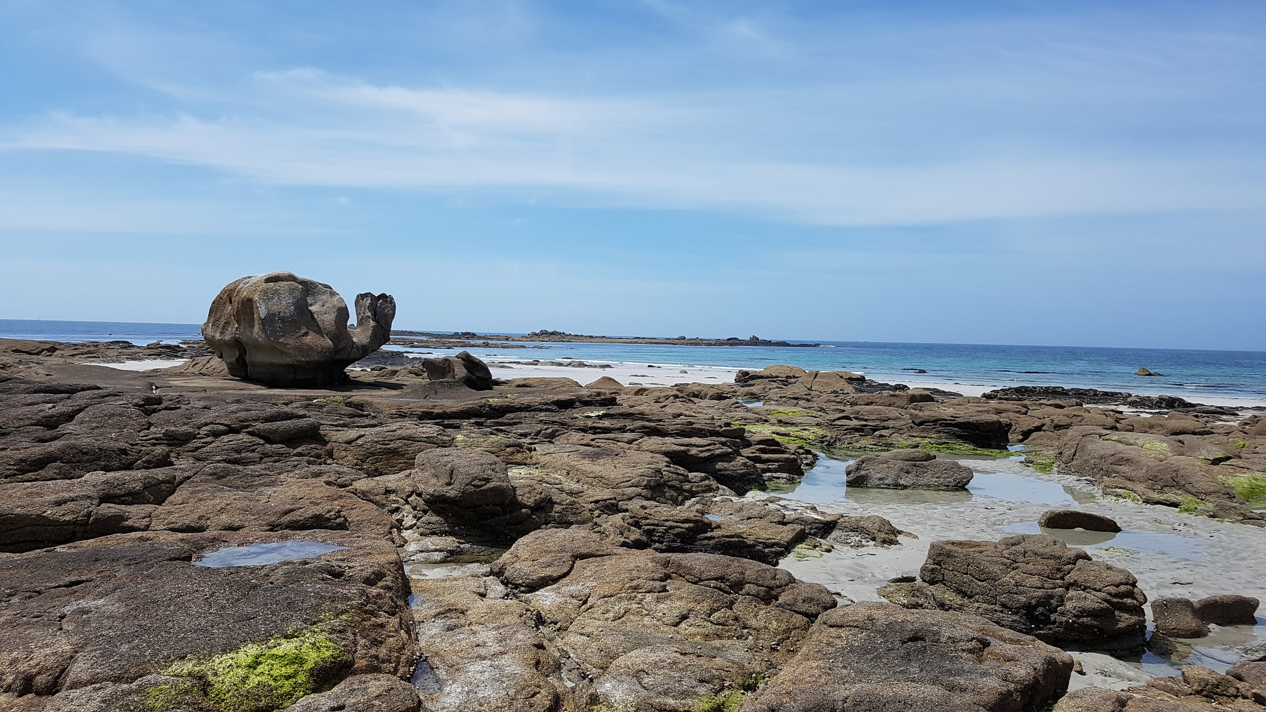 Le rocher "tortue" - peche a pied