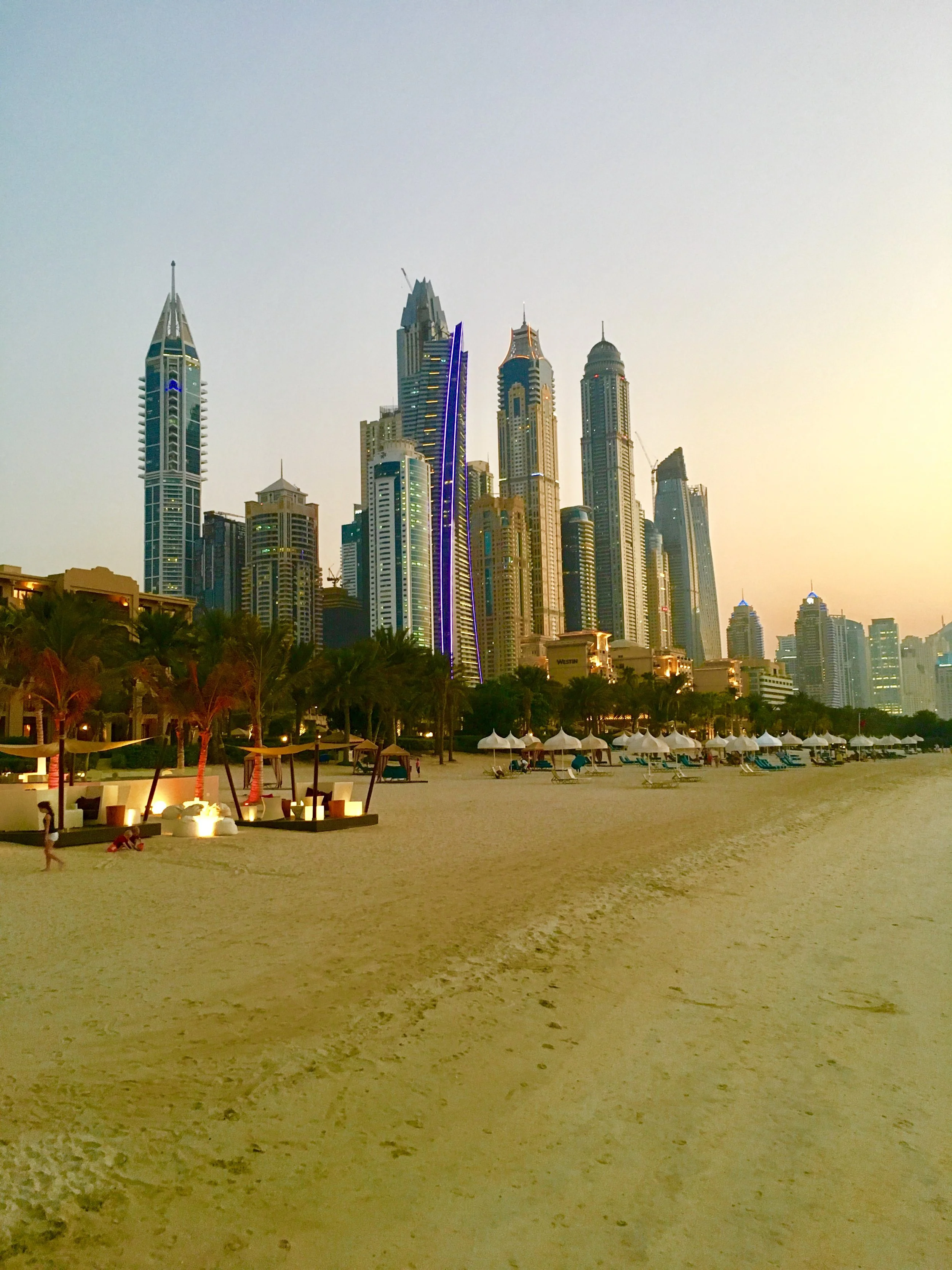 IMG-0845.jpg