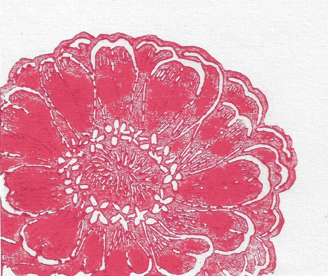 Zinia Mexicaine