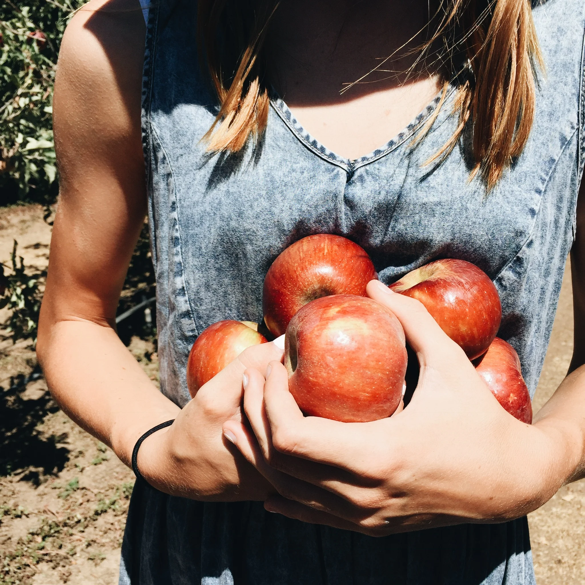 Apple Picking // Kick off to Fall!