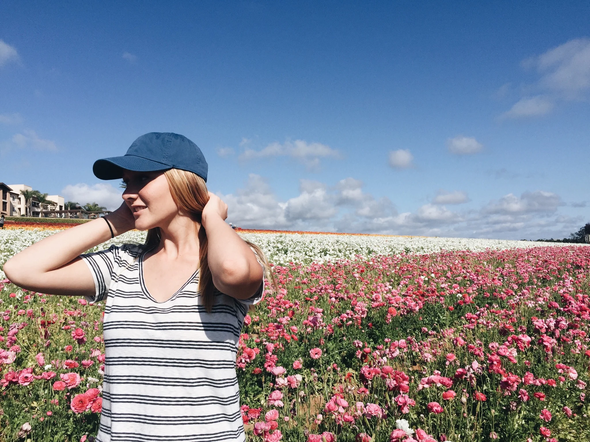 Everywhere & Everything // Flower Fields