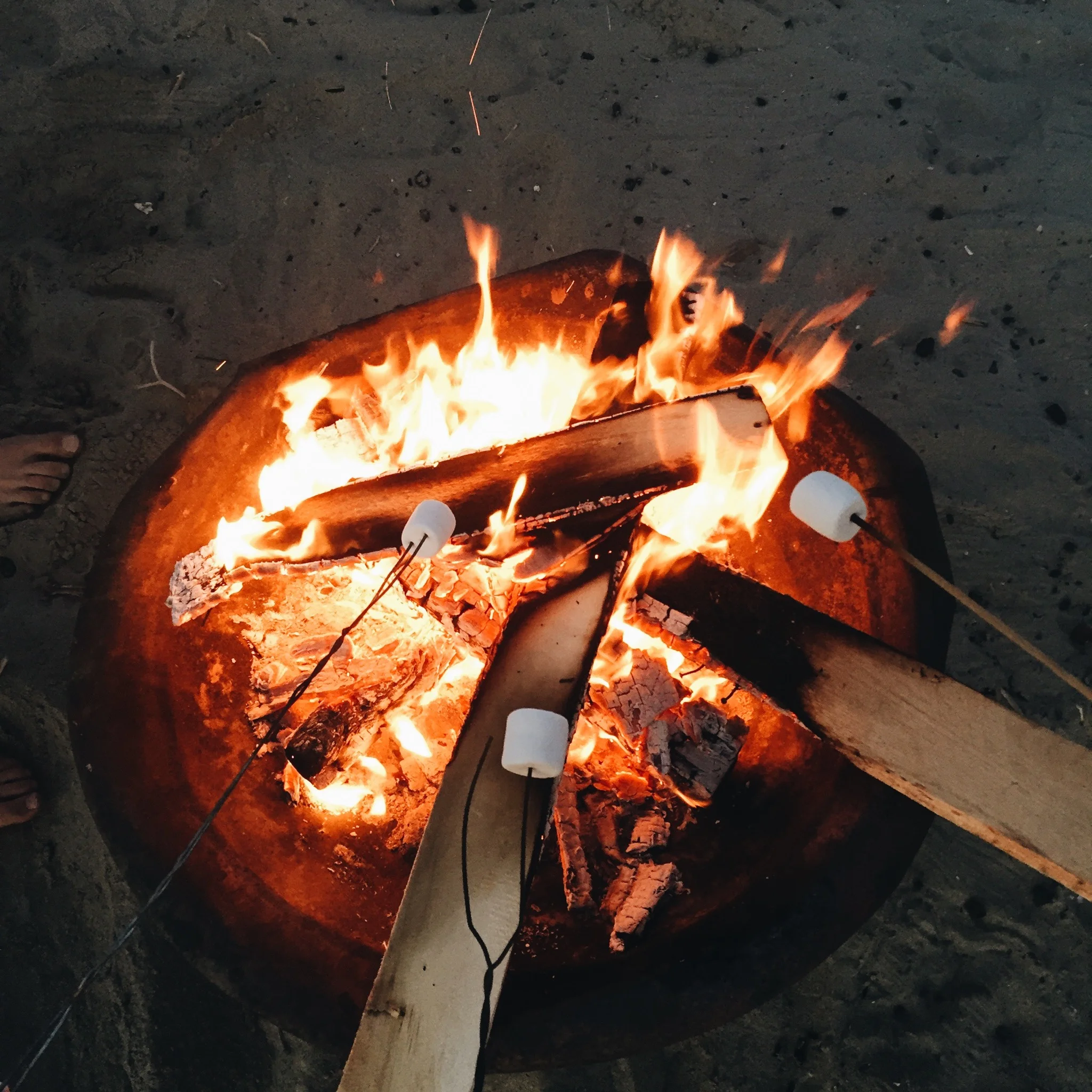 A Little Taste of Summer