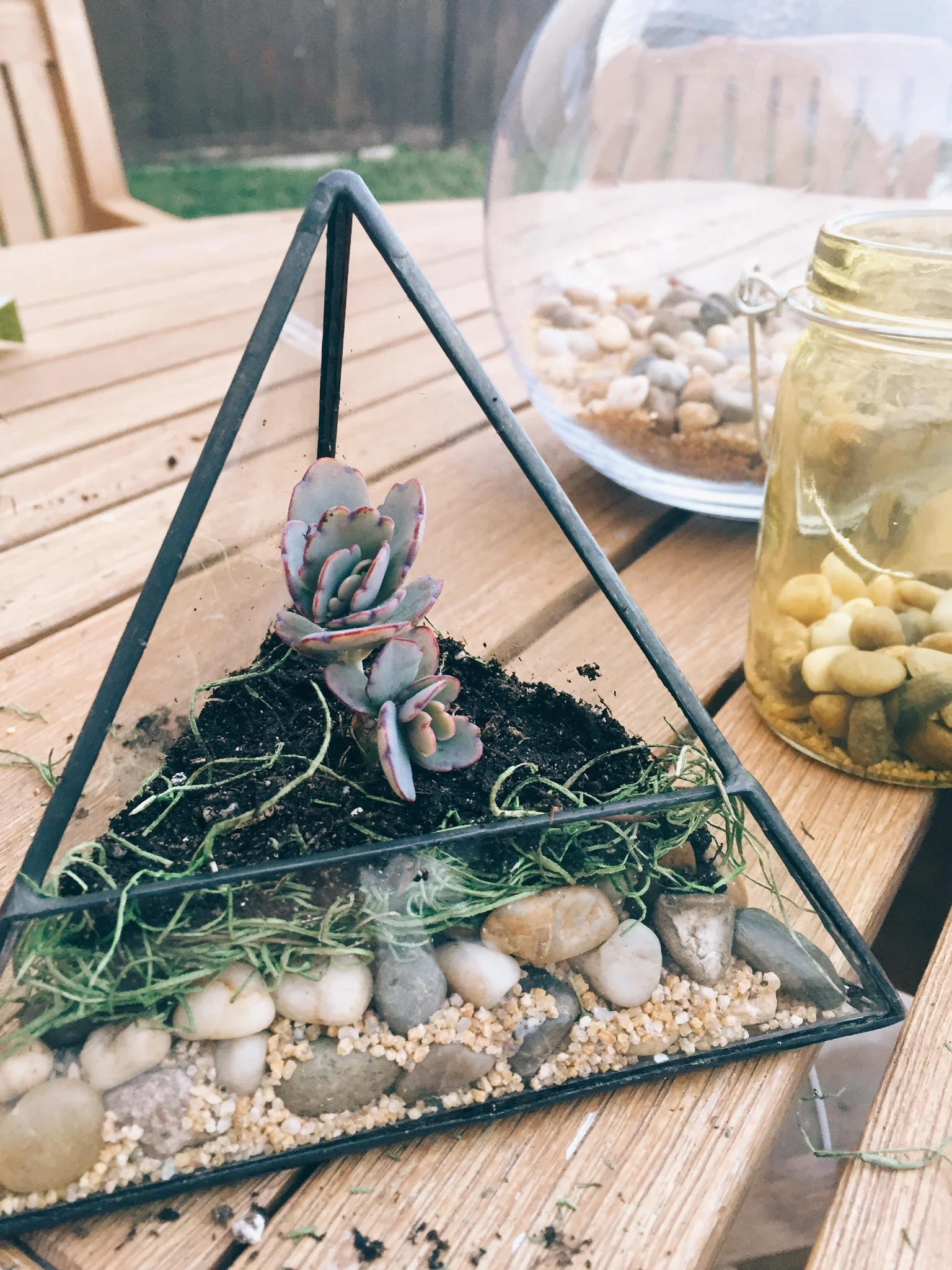 DIY Succulent Terrariums