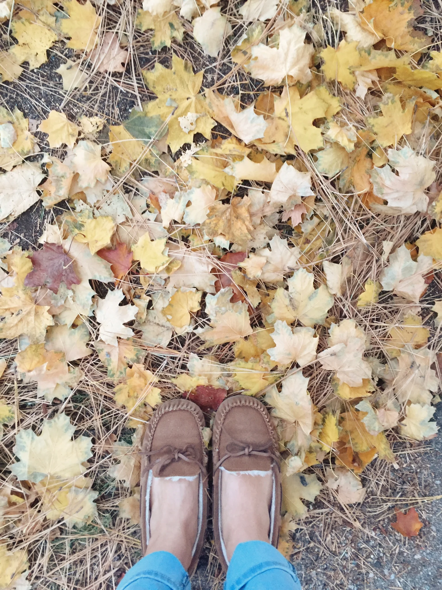 Lake Arrowhead Trip