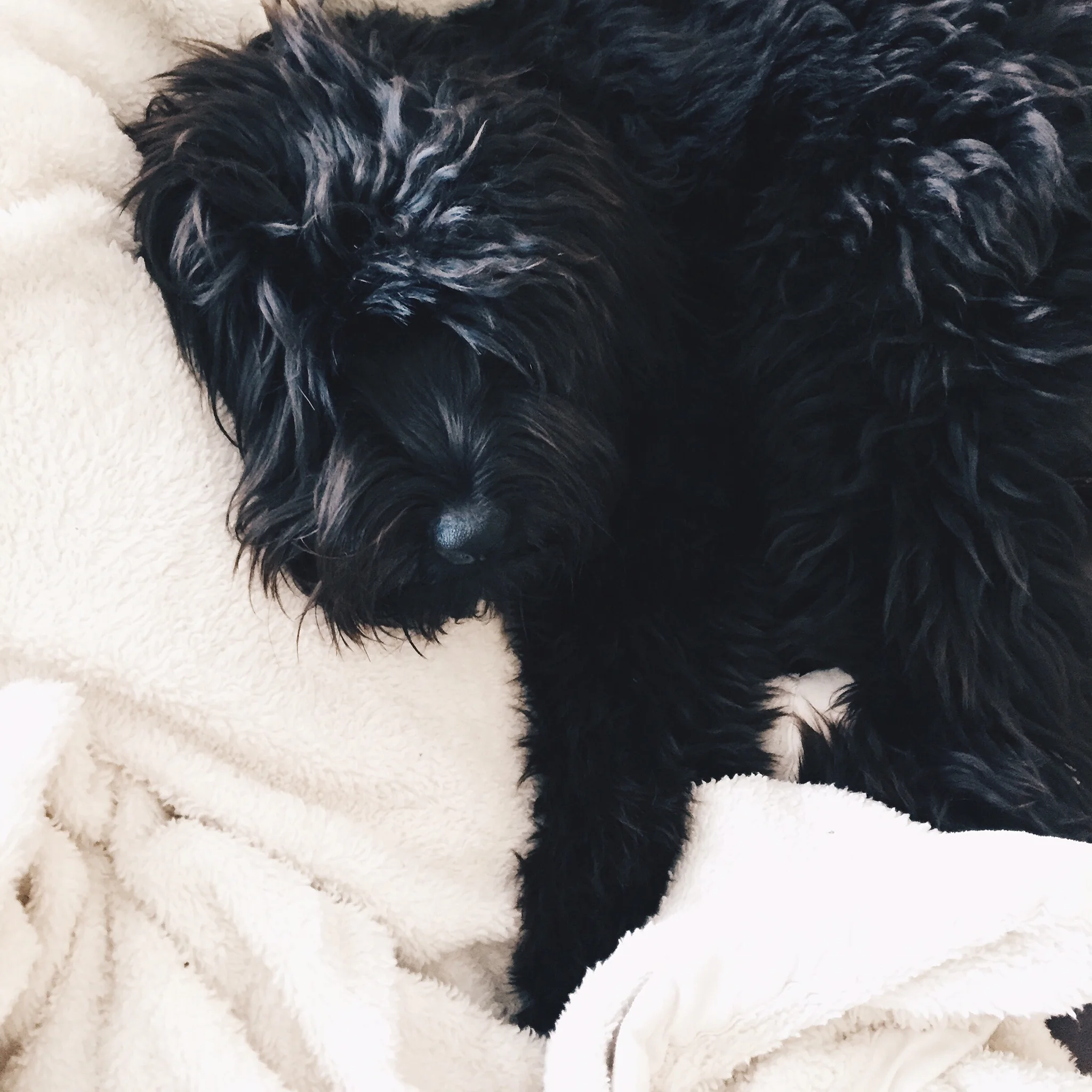 Sick, Rainy Day at Home