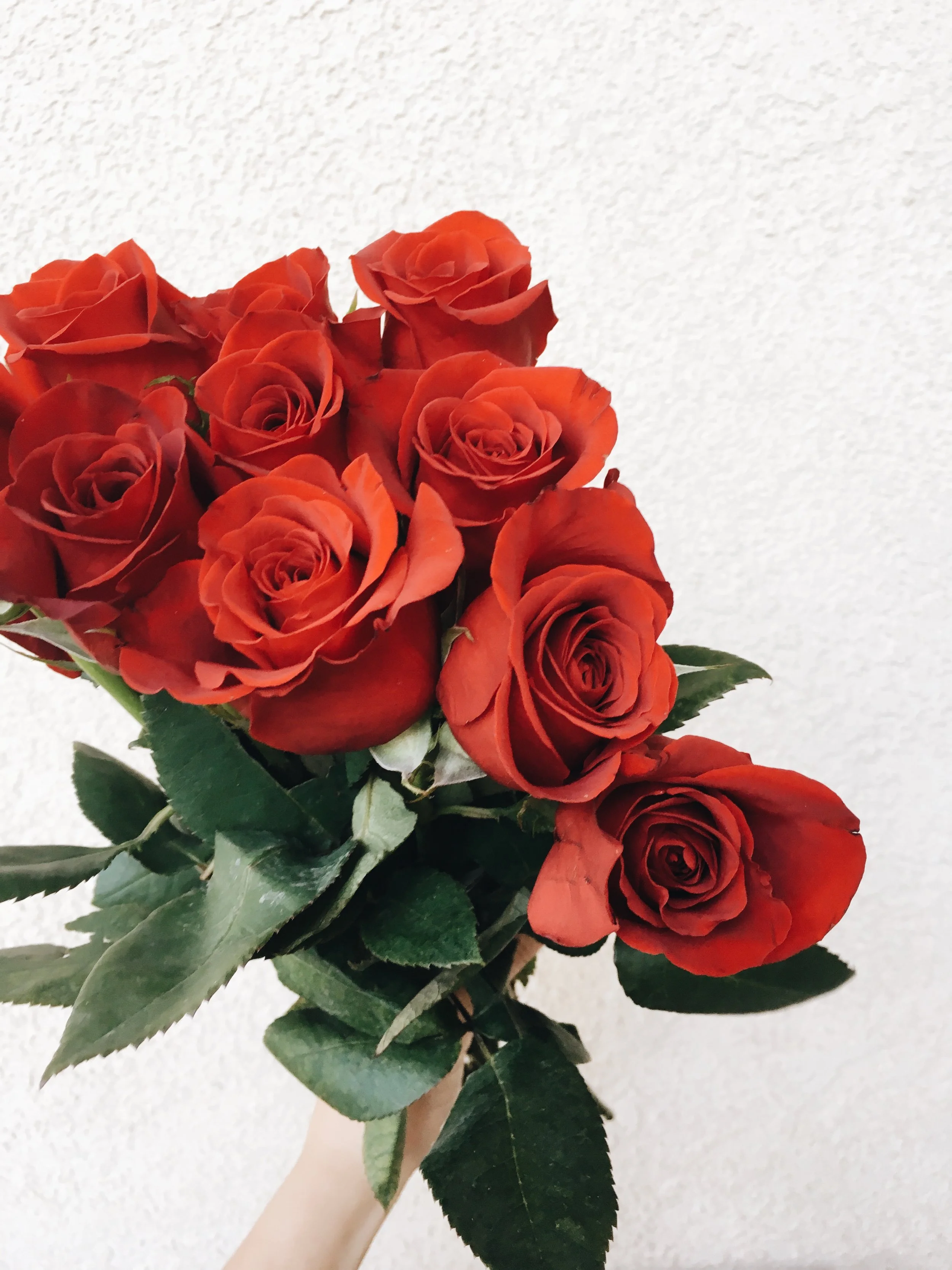 Two Year Anniversary