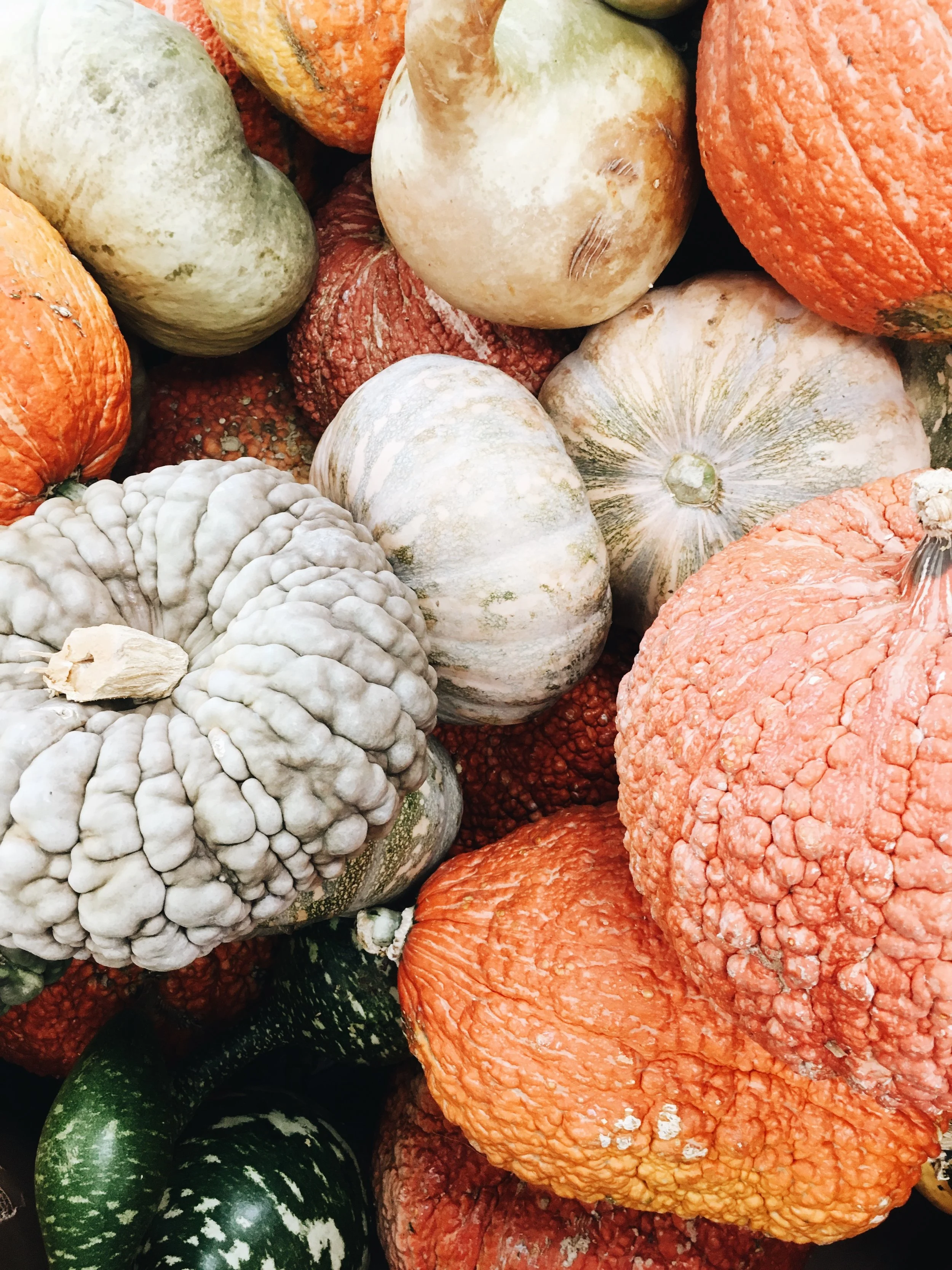 Ultimate Halloween Playlist