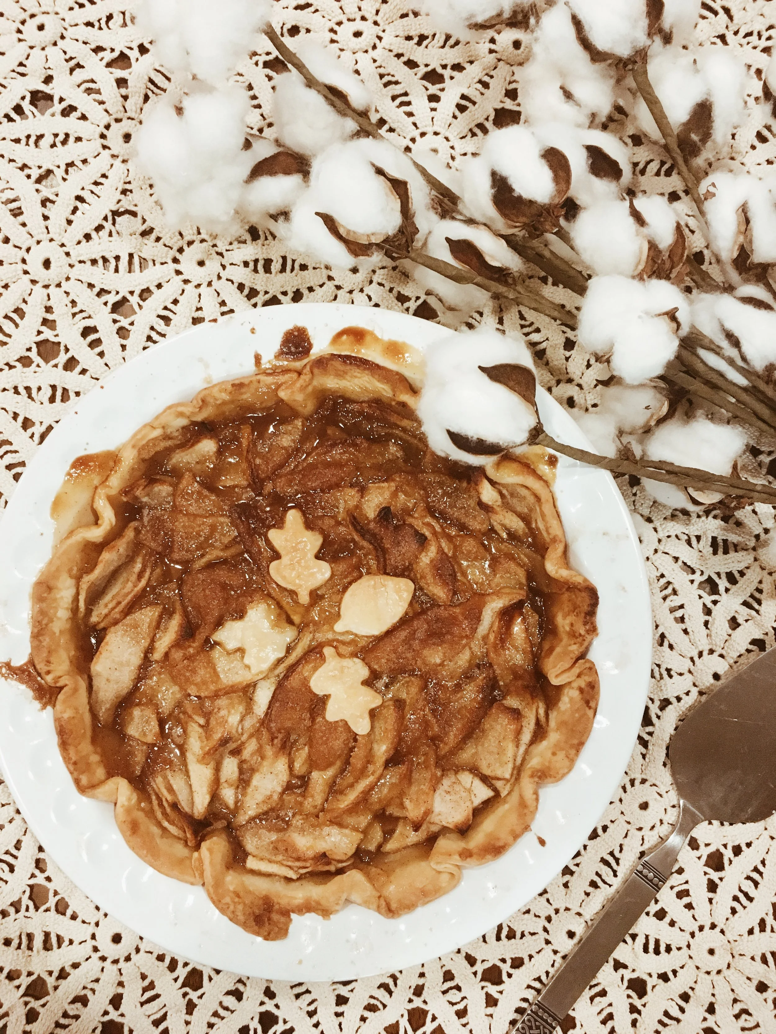 Thanksgiving Apple Pie