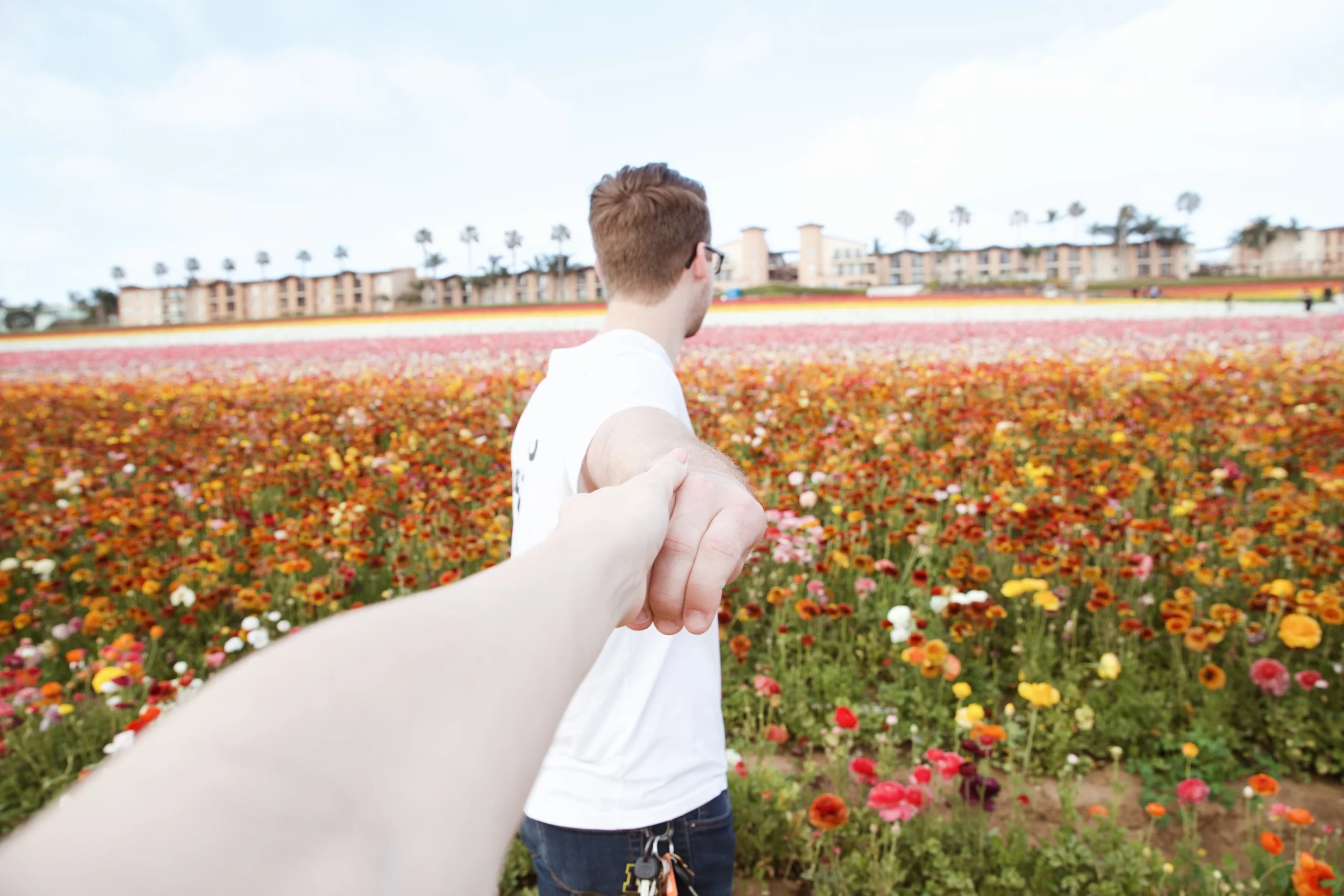 Flower Fields