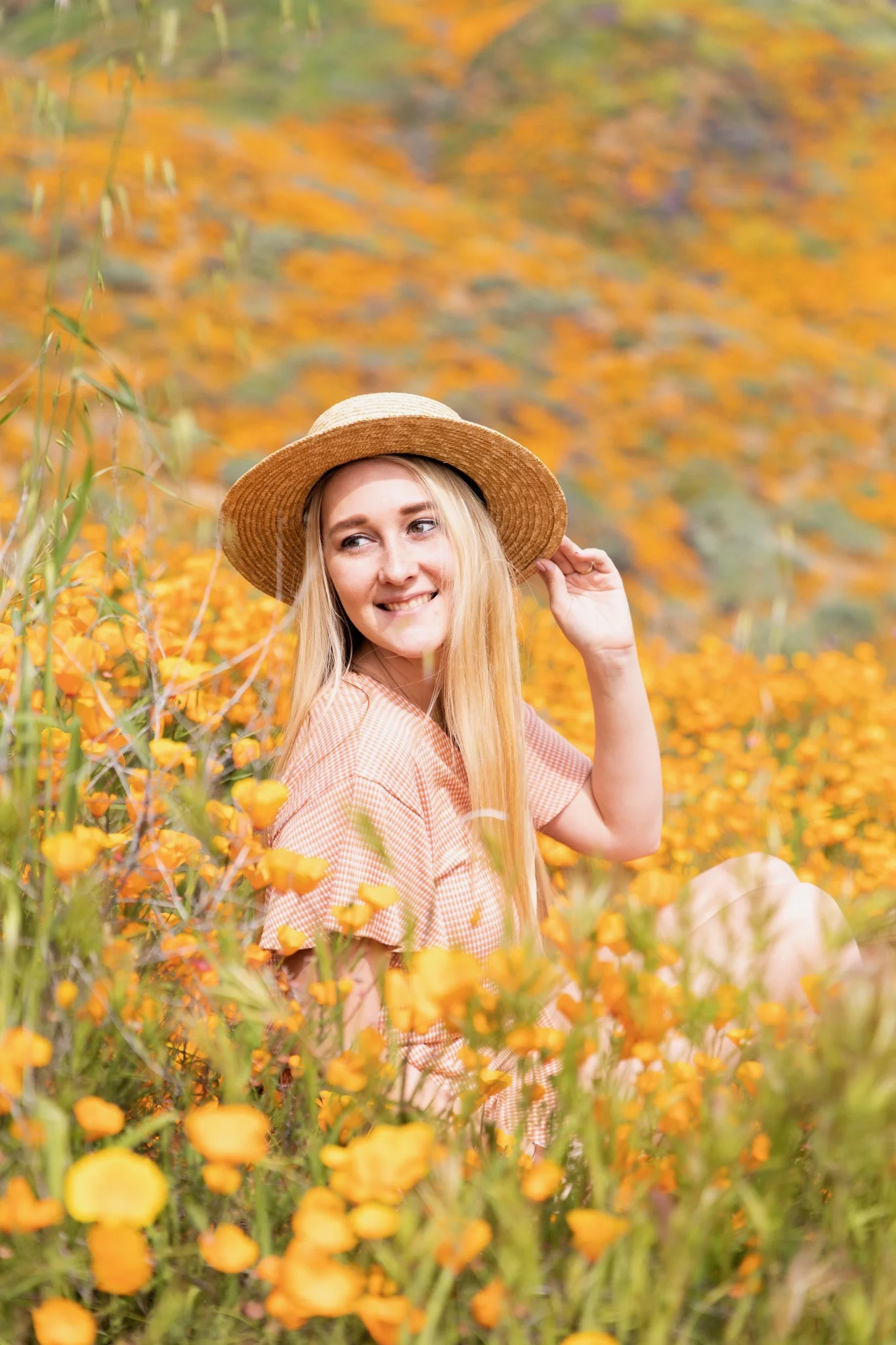 Super Bloom Poppy Fields