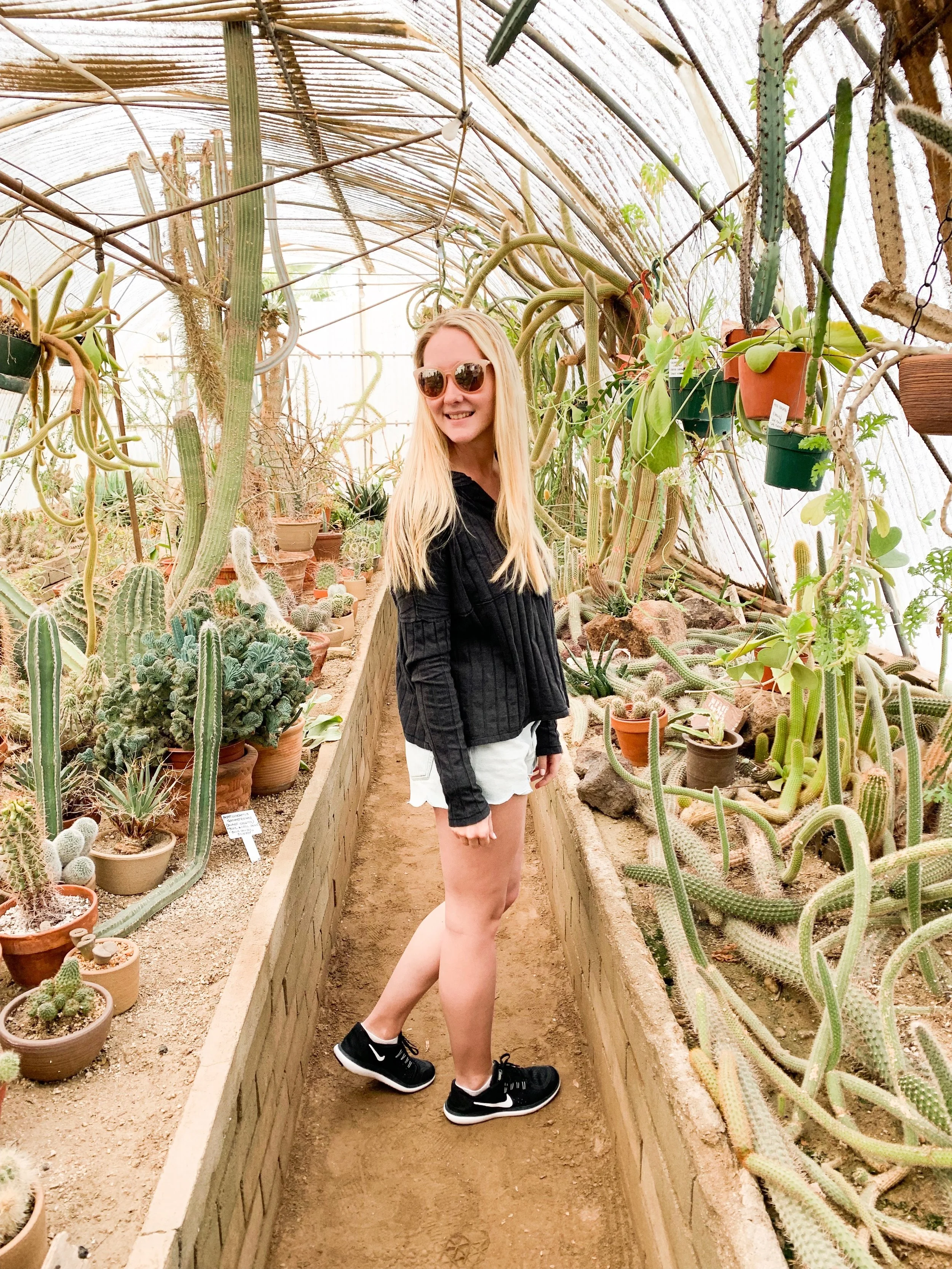 Palm Springs Honeymoon