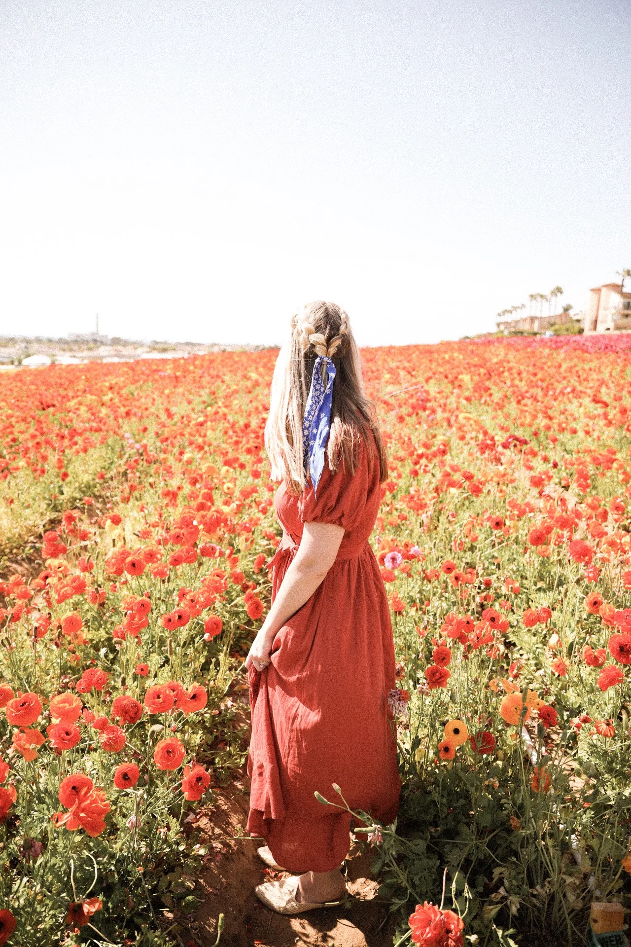 Flower Fields Adventure