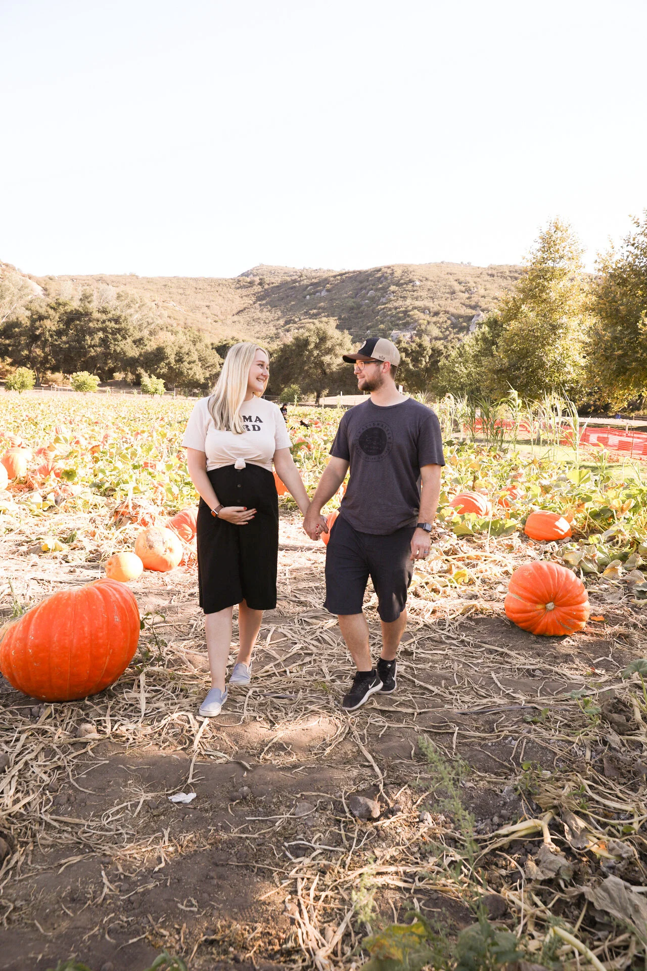 Pumpkin Patch 2020