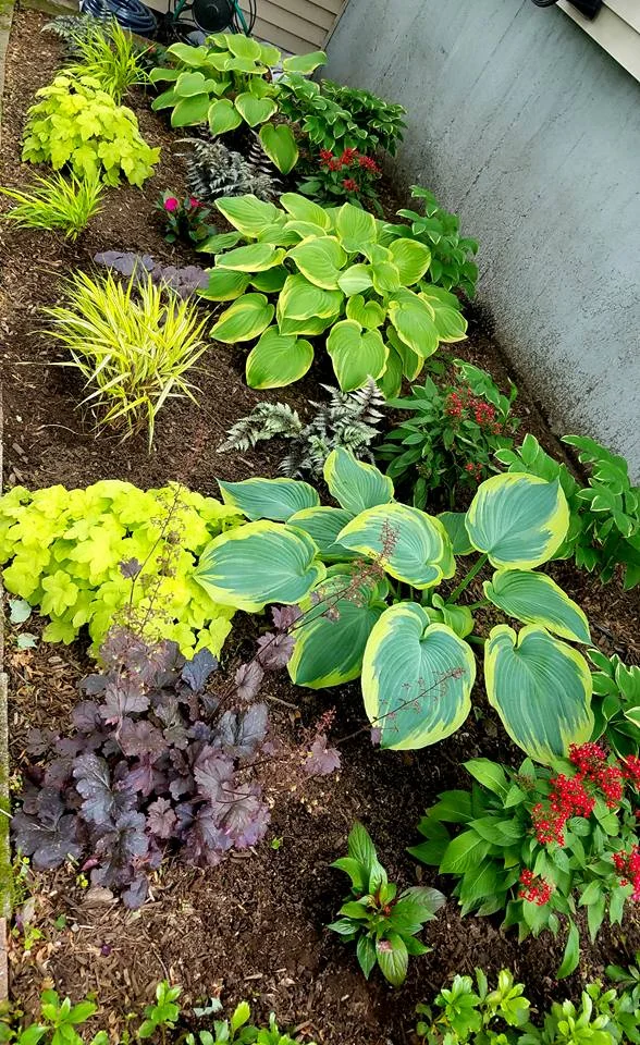 shade gardens.jpg