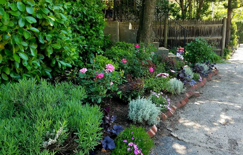 Providence garden Bosch.jpg