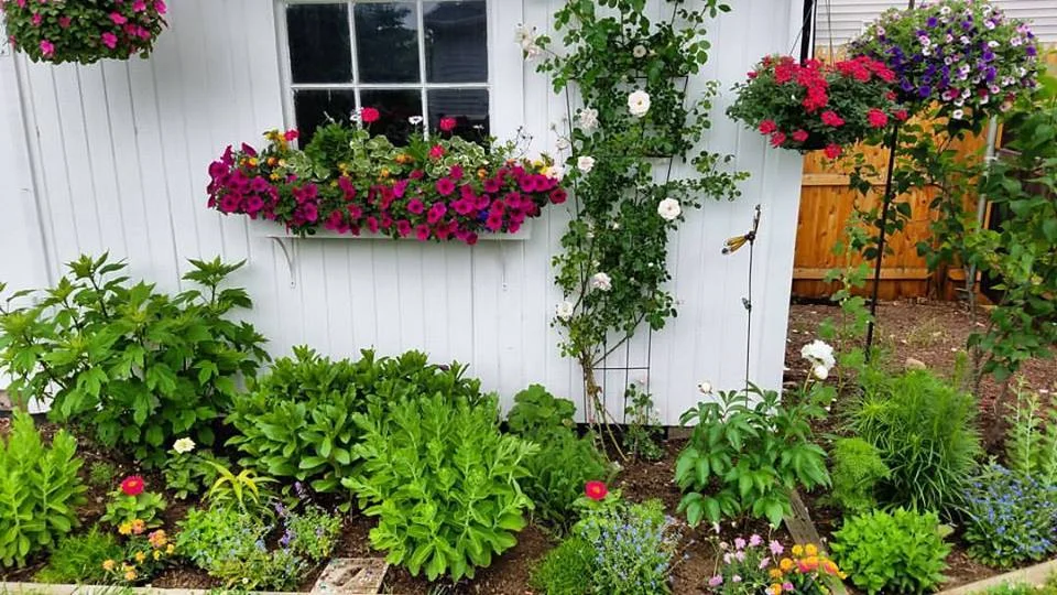Jaye Garden in June.jpg