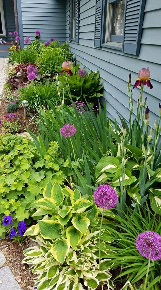 Moms garden.jpg
